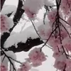 🌸