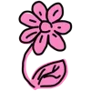 🌺