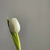 🌷