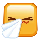 🤧