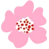 🌺