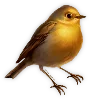 🕊️