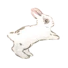 🪷
