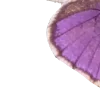 💜