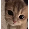 ☺️