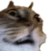 🙀