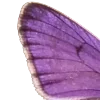 💜