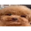 😀