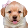 😋