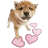 🌟