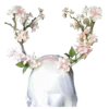 🪷