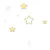 🌟