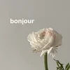 🌷