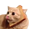 😋