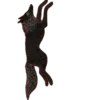 🐺