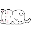 🐱
