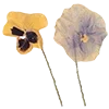 💐