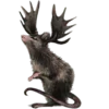 🐀
