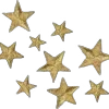 🌟