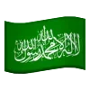 🇵🇸