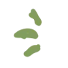 🌱
