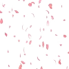 🌸