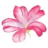 💐