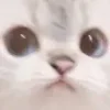 😠