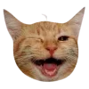 😉