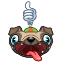 🐶