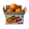 🍊