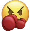 🥊
