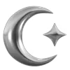 🌙