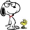 🌟