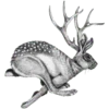 🦌
