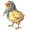 🐤