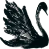 🦢