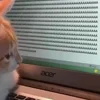 💻