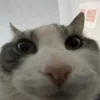 😕