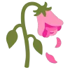 🥀
