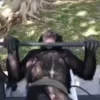 💪