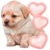 😘