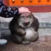 😖