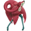 🦩