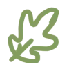 🌱