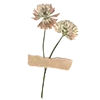 🌼