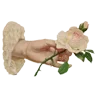 🌹