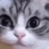🙂
