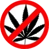 🍁