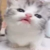 👅